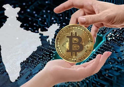 Would bitcoin merchant acquisition services scale effectively?